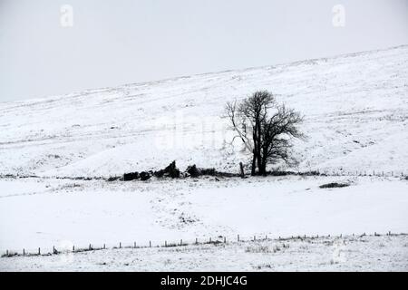 Abgebildet ist eine verschneite Szene in den Yorkshire Dales oberhalb von Hawes. Wetter Schnee Winter schneit Stockfoto
