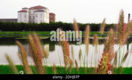 VENARIA, ITALIEN - AUGUST 2012: Reggia di Venaria reale, die sich im Wasser mit einem Grasbrunnen im Vordergrund spiegelt Stockfoto