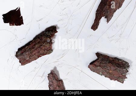 Einfacher moderner organischer abstrakter Hintergrund mit groben braunen Stücken Rinde und trockenen Grasstämmen auf weißem Holzbrett, Draufsicht. Stockfoto