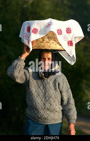 Olt County, Rumänien. Ältere Frau, die einen Radkasten mit Almosen auf dem Kopf trägt. Stockfoto