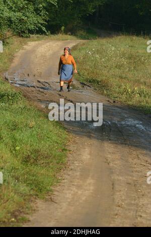 Old County, Rumänien. Ältere Frau, die auf einer unbefestigten Straße außerhalb des Dorfes geht. Stockfoto