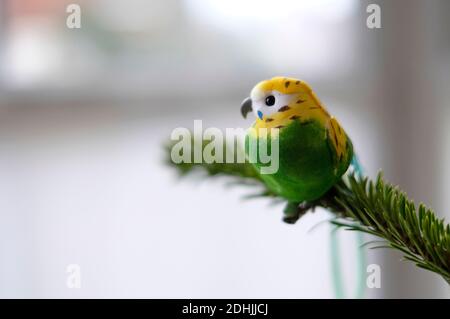 Wellensittiche weihnachtsbaumschmuck Stockfoto