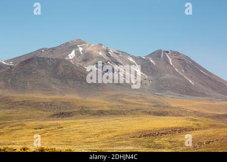 Vulkane erheben sich über den Höhenlagen der coiron-Wiesen der Anden altiplano, bei Socaire, San Pedro de Atacama, Chile Stockfoto