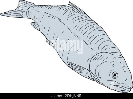Natürliche Meeresfische Skizze auf weißem Hintergrund. Stock Vektor