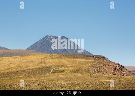 Vulkan Chilliques erhebt sich über dem Hochgebirgsgras der Anden altiplano, Chile Stockfoto