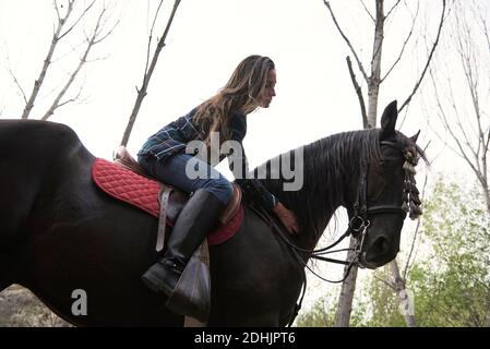 Von unten Seitenansicht des weiblichen Reitens in den Stiefeln sitzend Im Sattel und Reiten gehorsam Pferd im Wald Stockfoto