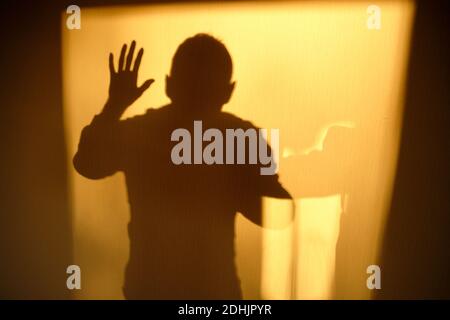 Selbstportrait eines Fotografen Schatten auf einer weißen Tapete im gelben warmen Morgenlicht. Gesehen in Deutschland im November. Stockfoto