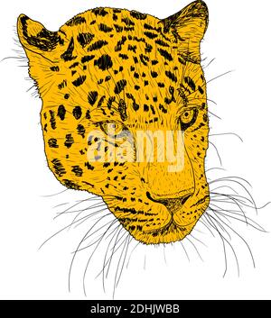 Skizze Silhouette Skizze Leoparden Gesicht auf weißem Hintergrund Illustration. Stock Vektor