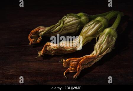 Barocke Malerei Stil Stillleben mit frischen essbaren Zucchini Blumen Komponiert auf dunkler Holzoberfläche mit Bildlicht Stockfoto