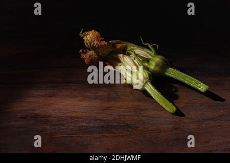 Barocke Malerei Stil Stillleben mit frischen essbaren Zucchini Blumen Komponiert auf dunkler Holzoberfläche mit Bildlicht Stockfoto