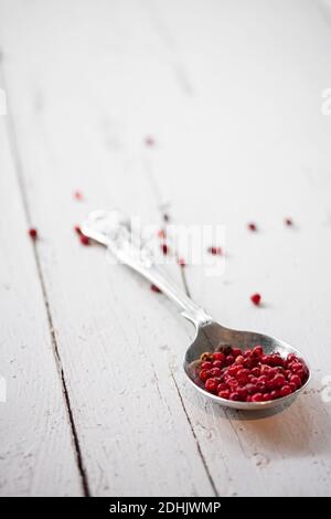 Metalllöffel voll getrocknete rote Pfefferkörner auf weiß gelegt Holzdiele Tisch mit verstreuten Samen Stockfoto
