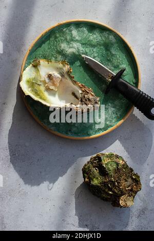 Von oben serviert frisch exquisite Austern auf zerkleinerten Eis Stockfoto