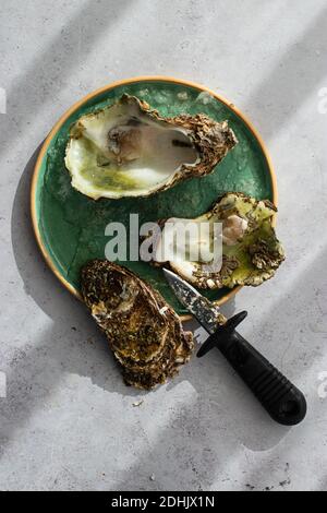 Von oben serviert frisch exquisite Austern auf zerkleinerten Eis Stockfoto