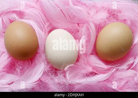 Eier liegen auf rosa Federn. Osterdekoration. Stockfoto