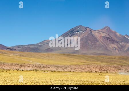 Der Vulkan Miniques erhebt sich über dem coiron-Grasland des altiplano, San Pedro de Atacama, Anden, Chile Stockfoto