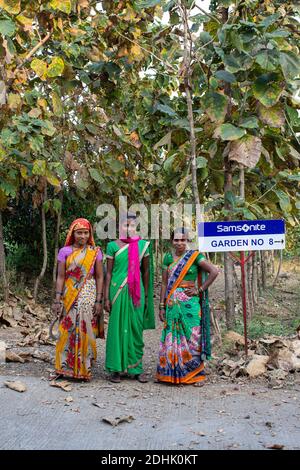 Drei Gärtnerinnen in traditioneller indischer Kleidung posieren in der Produktionsstätte von Samsonite in Nashik Indien. Stockfoto