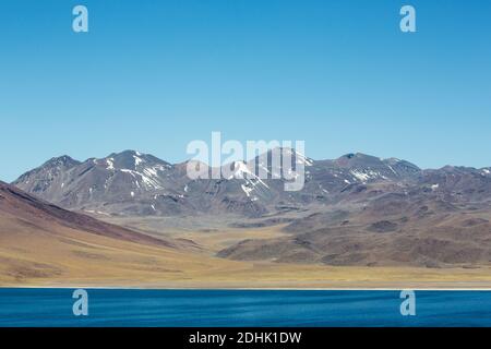 Vulkane erheben sich über dem hellblauen Wasser der Laguna Miscanti San Pedro de Atacama, Andes, Chile Stockfoto