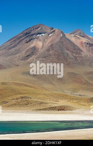 Der Vulkan Miniques erhebt sich über dem coiron-Grasland des altiplano, San Pedro de Atacama, Anden, Chile Stockfoto