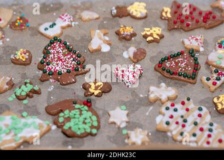 Magdeburg, Deutschland. Dezember 2020. Hausgemachte Weihnachtskekse liegen auf einem Backblech mit Backpapier. Quelle: Stephan Schulz/dpa-Zentralbild/ZB/dpa/Alamy Live News Stockfoto