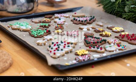 Magdeburg, Deutschland. Dezember 2020. Hausgemachte Weihnachtskekse liegen auf einem Backblech mit Backpapier. Quelle: Stephan Schulz/dpa-Zentralbild/ZB/dpa/Alamy Live News Stockfoto