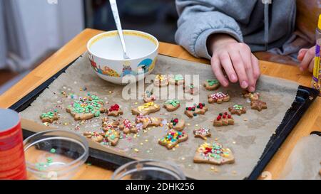 Magdeburg, Deutschland. Dezember 2020. Ein Mädchen, das Weihnachtsplätzchen schmückt. Quelle: Stephan Schulz/dpa-Zentralbild/ZB/dpa/Alamy Live News Stockfoto