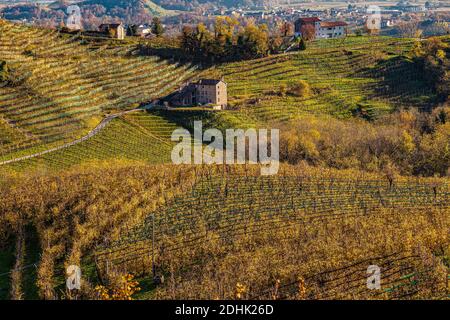 Italien Venetien - Blick auf die Hügel von San Pietro di Barbozza Des Prosecco Stockfoto