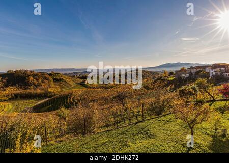 Italien Venetien - Blick auf die Hügel von San Pietro di Barbozza Des Prosecco Stockfoto