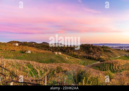 Italien Venetien - Blick auf die Hügel von San Pietro di Barbozza Des Prosecco Stockfoto