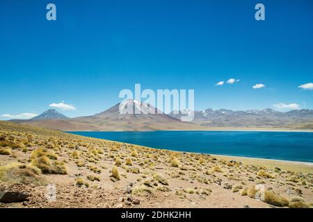 Der Vulkan Miscanti erhebt sich über dem hellblauen Wasser der Laguna Miscanti San Pedro de Atacama, Andes, Chile Stockfoto