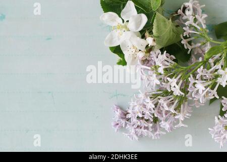 Violette Flieder und Apfelbaumblume auf blauem Hintergrund, Kopierraum. Stockfoto