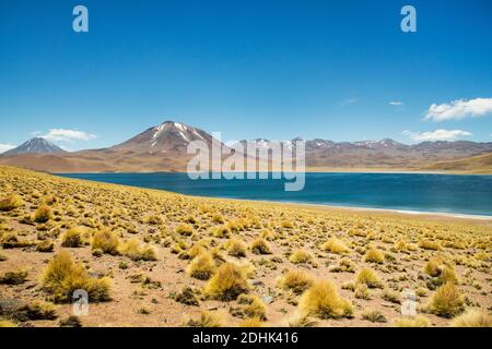 Der Vulkan Miscanti erhebt sich über dem hellblauen Wasser der Laguna Miscanti San Pedro de Atacama, Andes, Chile Stockfoto