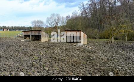 Boogy Outdoor-Gehege mit offenen Holzunterständen für wollige Schweine Stockfoto