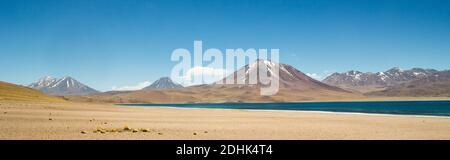 Der Vulkan Miscanti erhebt sich über dem hellblauen Wasser der Laguna Miscanti San Pedro de Atacama, Andes, Chile Stockfoto