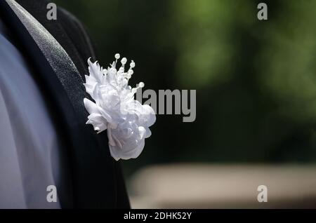 Weiße Blume auf dem schwarzen Smoking des Bräutigams an einem sonnigen Tag, Nahaufnahme Stockfoto