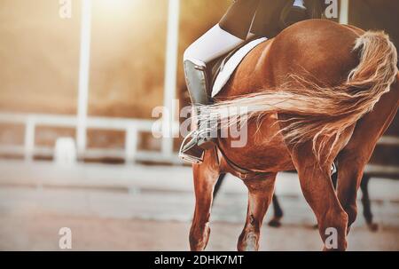 Auf einem Sauerampfer mit einem langen lockigen Schwanz sitzt ein Reiter im Sattel, beleuchtet von Sonnenlicht. Pferdesport. Teilnahme an der Dressur. Pferd ridi Stockfoto