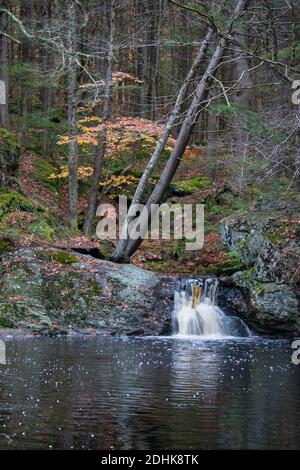 Ein Bach fließt im Herbst über moosbedeckten Felsen in New England. Stockfoto