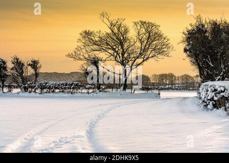 Schneeszene in Penymynydd, Llanelli, Wales Stockfoto