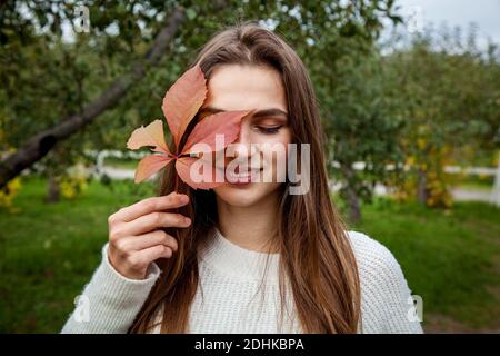 Ein Mädchen mit langen Haaren in einem weißen Pullover hält ein rotes Herbstblatt aus wilden Trauben nahe ihrem Gesicht. Mädchen im Park auf dem Hintergrund der wilden Trauben Stockfoto
