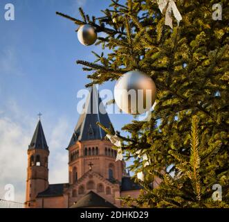 Im Fokus steht ein weihnachtsbaum vorne, im Hintergrund ist der St. Martins Dom von Mainz in Deutschland verschwommen Stockfoto