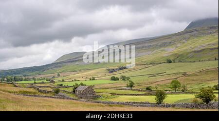 Cotterdale, Yorkshire Dales National Park, York, UK - EIN Blick auf eine alte Steinscheune, Schafe und die hügelige Landschaft der Yorkshire Dales. Stockfoto