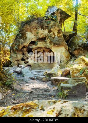 Ein Felsen mit vielen Löchern darin, bewachsen mit Moos und anderen Pflanzen im Wald zwischen Laubbäumen Stockfoto