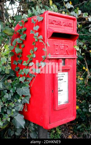 Winter schleichende Efeu klammert sich an Royal Mail Village roten Briefkasten Stockfoto