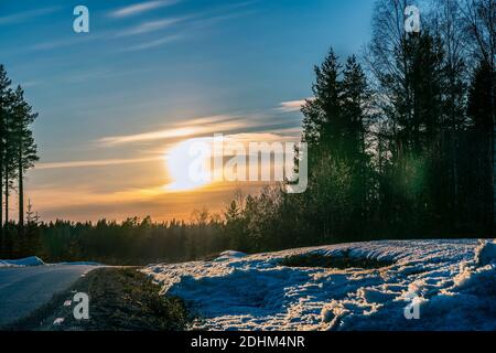 Sonnenuntergang über schwedischen Kiefernwald, kurvige Straße Asphaltstraße rechts abbiegen. Schmutziger Frühlingsschnee an der Waldseite. Nordschweden Stockfoto