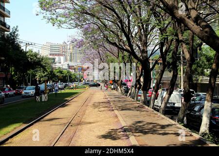 Schöner Stadtteil Polanco in Mexiko-Stadt. Stockfoto