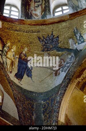 Türkei, Istanbul. Kirche des Heiligen Erlösers in Chora. Byzantinischer Stil. Innere Narthex Mosaik, 14. Jahrhundert. Christus Heilend Zwei Blinde Männer. Stockfoto