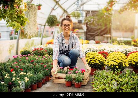 Schöne lächelnde Floristin Frau posiert beim hocken und halten die Holzkiste mit Blumentöpfen in der bunten hellen Gewächshaus. Stockfoto