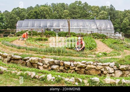 Alabama Mt. Mount Laurel Grow Farm Bio-Landwirtschaft, Gartenarbeit, Stockfoto