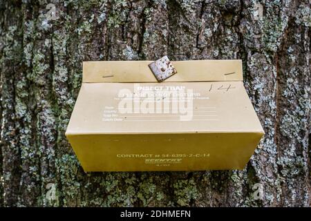 Huntsville Alabama, Monte Sano State Park, Stamm aus Insektenfalle, Stockfoto