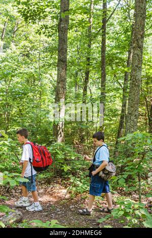 Huntsville Alabama, Monte Sano State Park, Jungen Junge Freunde Wandern Waldweg Rucksack, Stockfoto