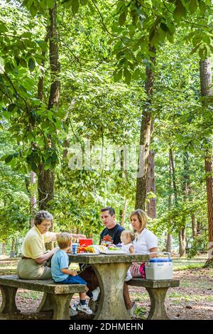 Huntsville Alabama, Monte Sano State Park, Familie Kind Mutter Vater Junge Sohn Baby Picknick Tisch Essen, Wald, Stockfoto